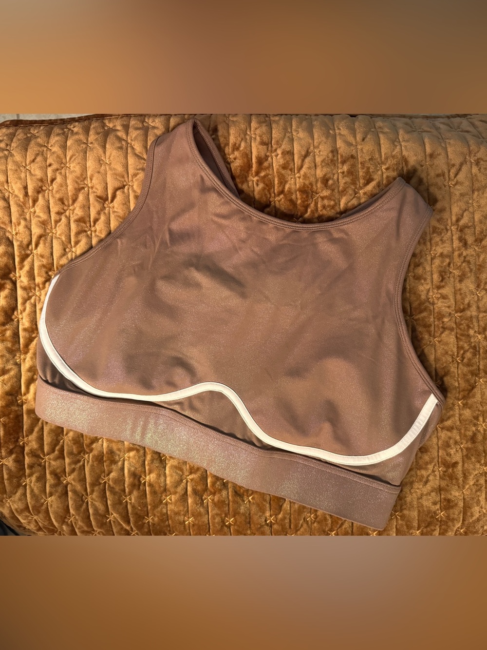 Fabletics Blare Shine Sports Bra 2X Iridescent Mocha